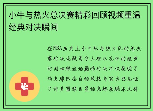 小牛与热火总决赛精彩回顾视频重温经典对决瞬间