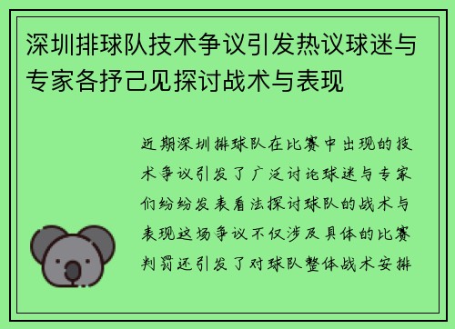 深圳排球队技术争议引发热议球迷与专家各抒己见探讨战术与表现