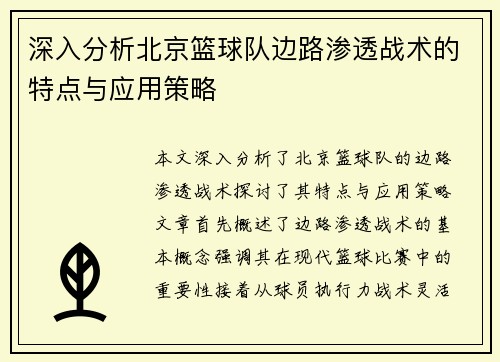 深入分析北京篮球队边路渗透战术的特点与应用策略